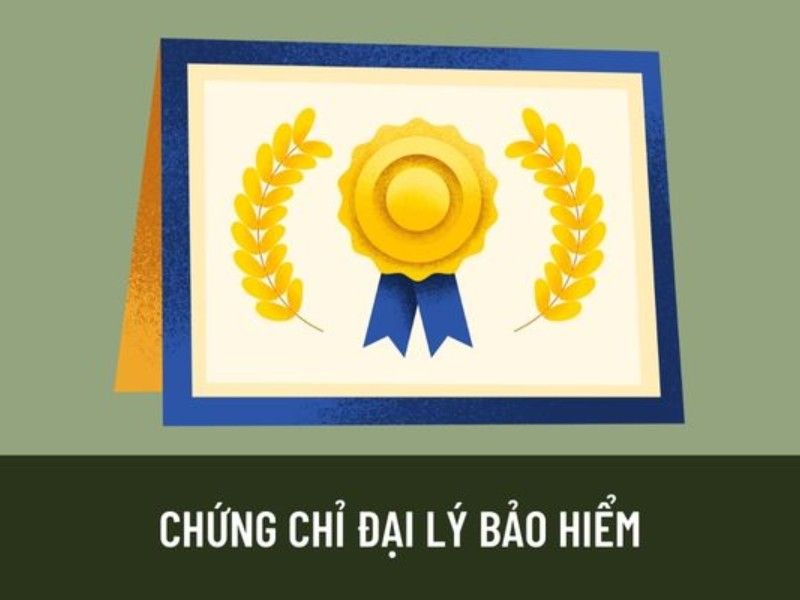 Chứng chỉ đại lý bảo hiểm có nhiều loại