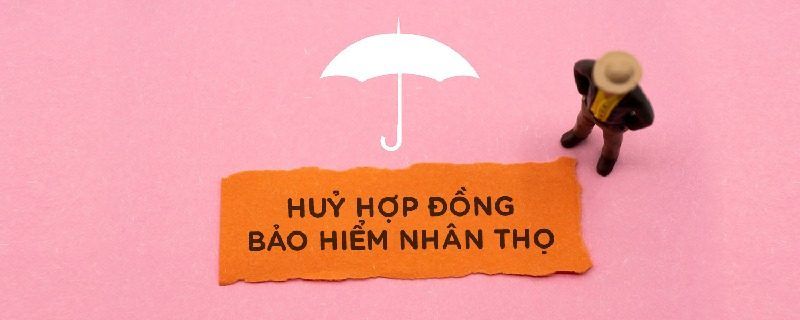 Chấm dứt hợp đồng bảo hiểm nhân thọt trước hạn